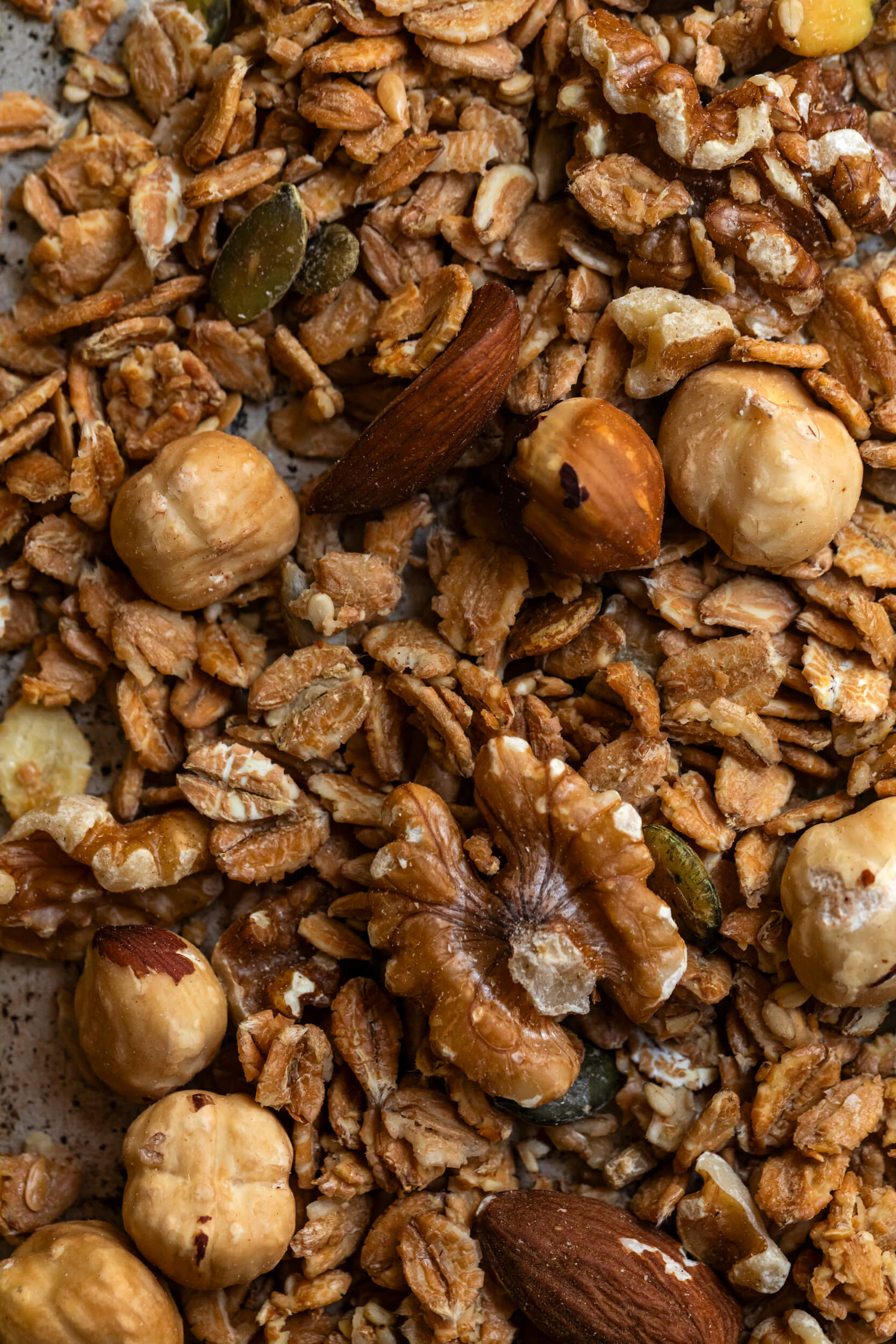 granola di farro le polveri 04