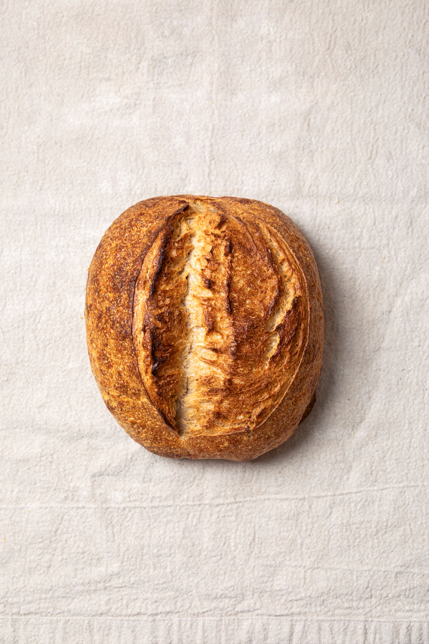 pane campagna le polveri 0
