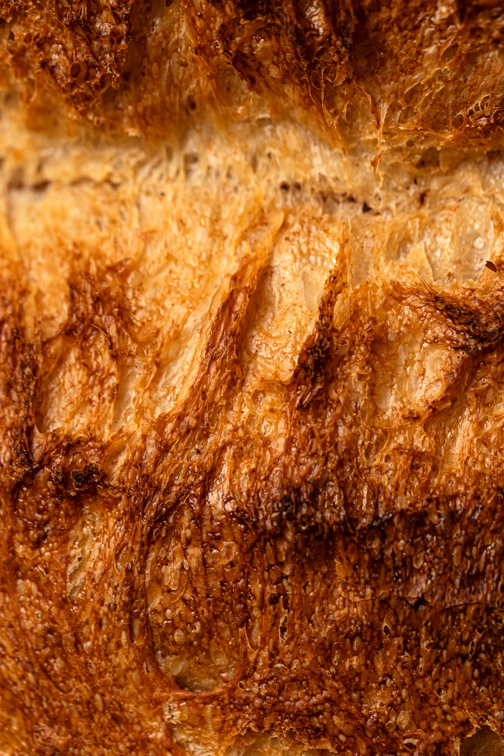 pane campagna le polveri 03