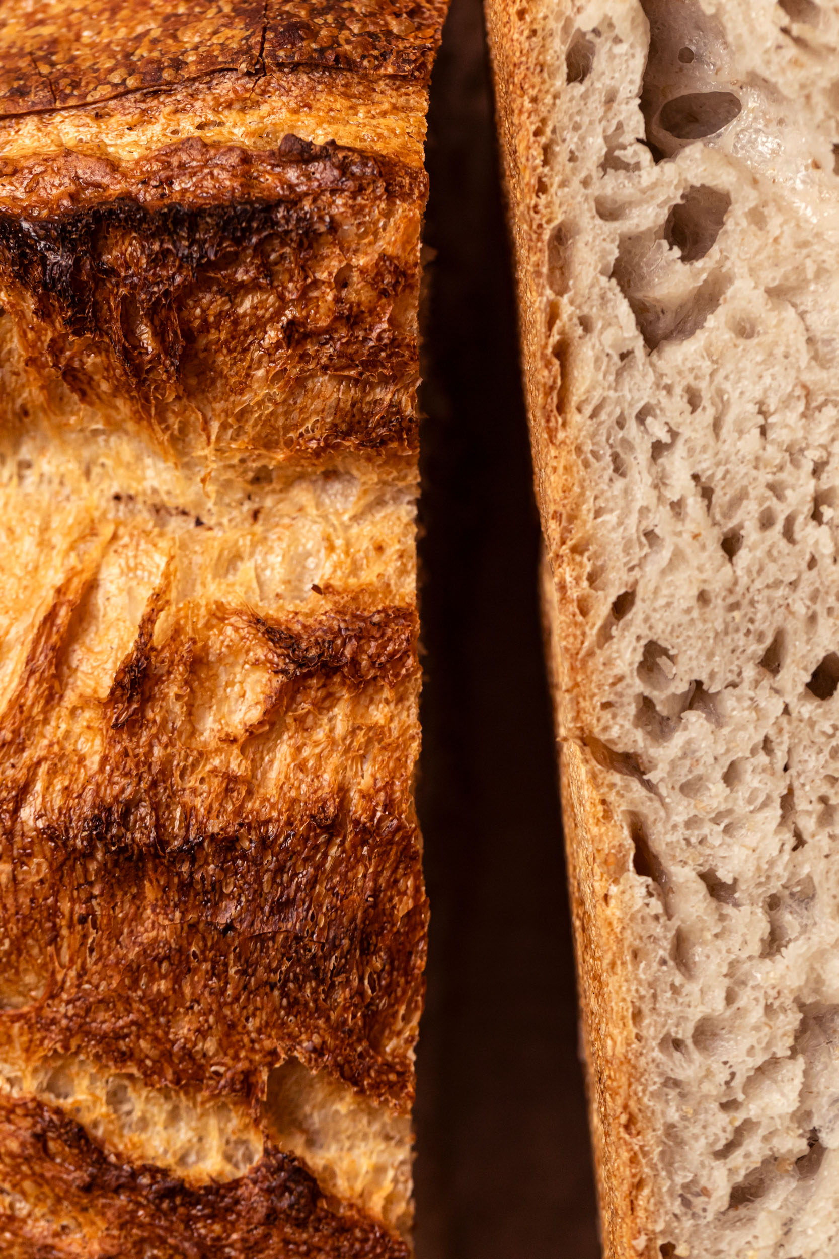 pane campagna le polveri 04