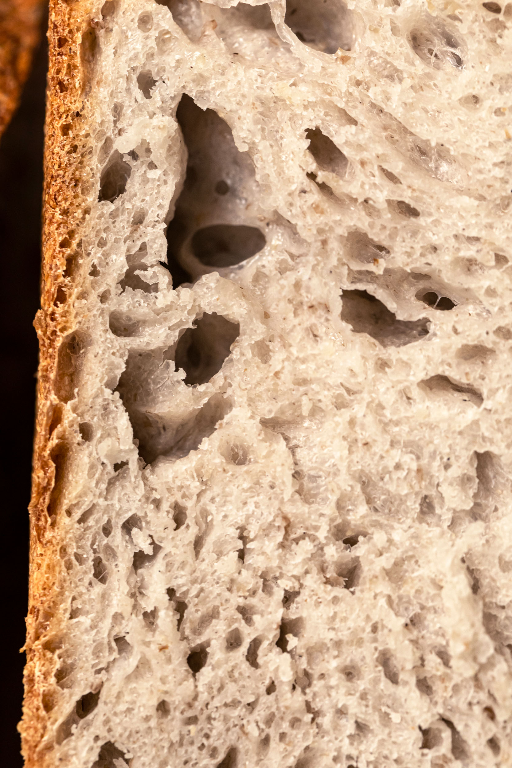 pane campagna le polveri 05