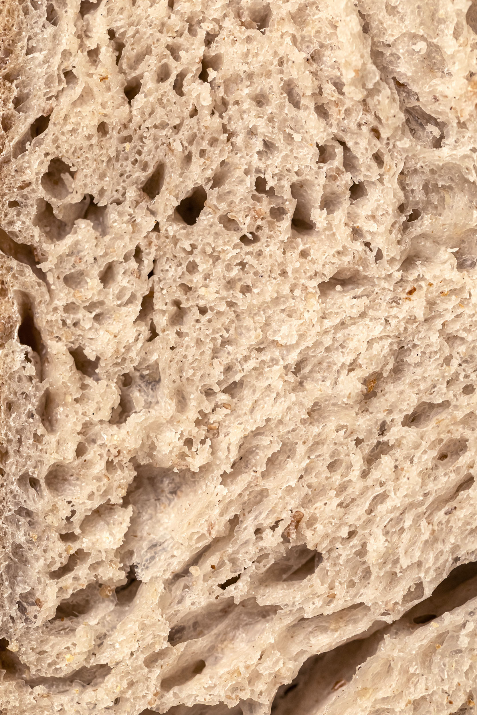 pane campagna le polveri 06