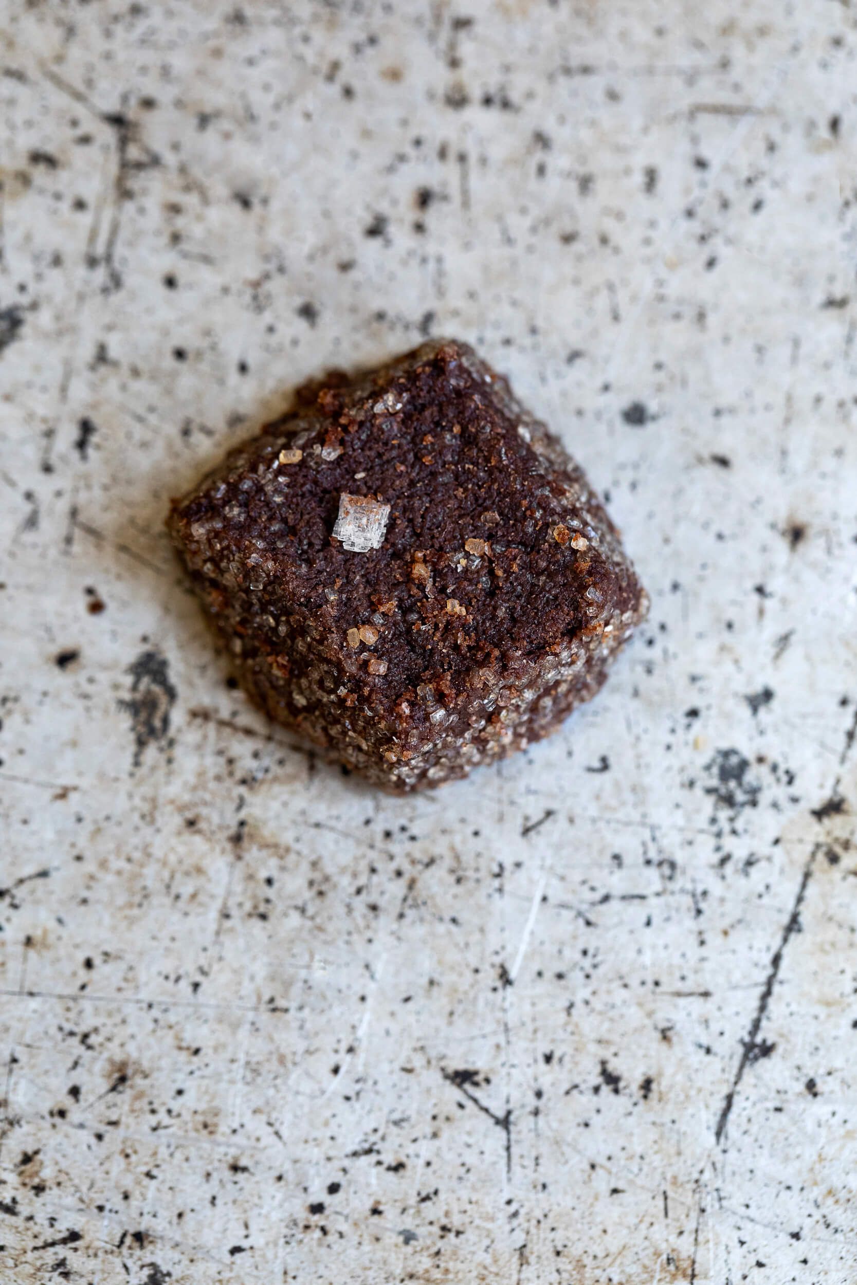 biscotti al cacao amaro sale di maldon e rosmarino le polveri 03