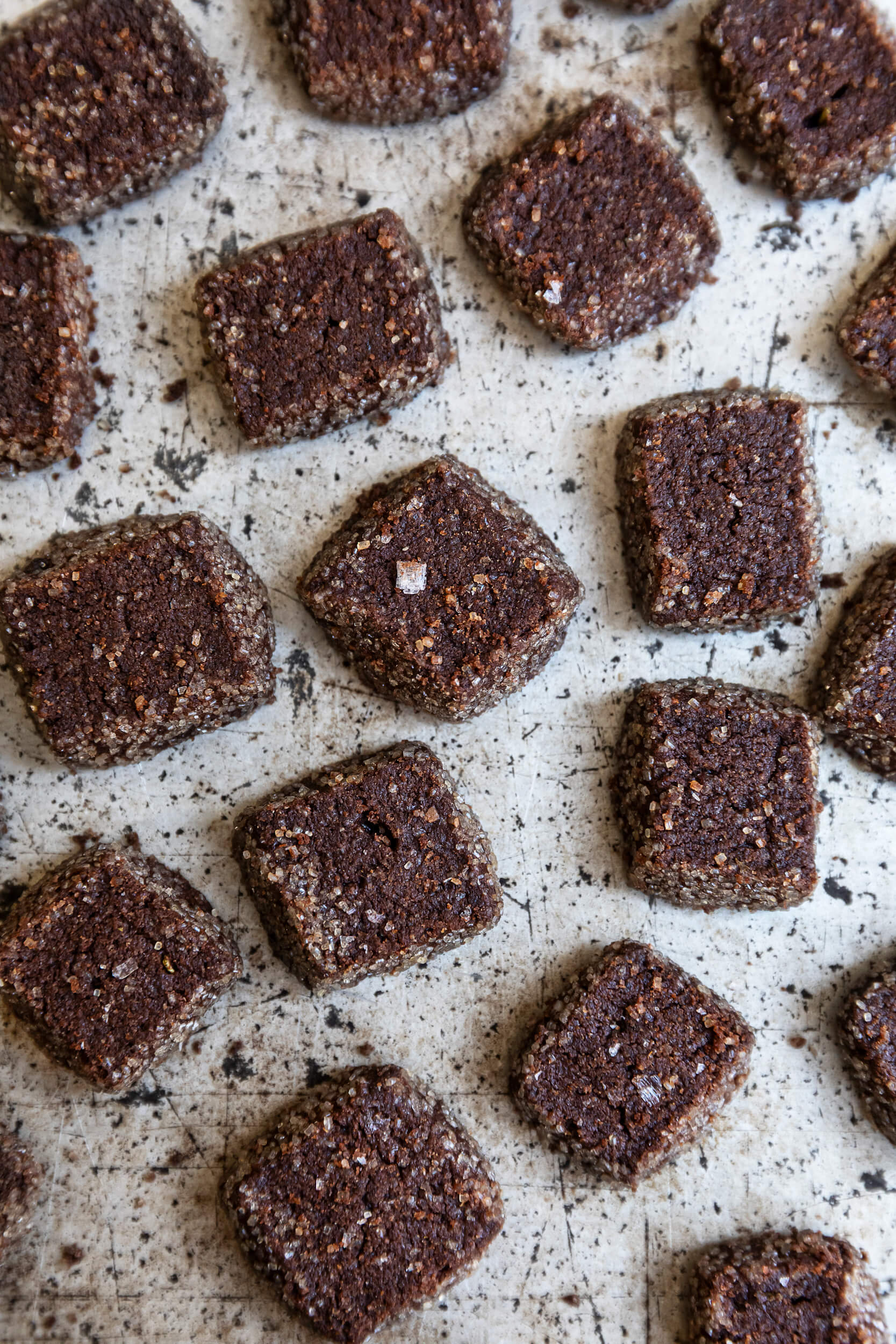 biscotti al cacao amaro sale di maldon e rosmarino le polveri 04