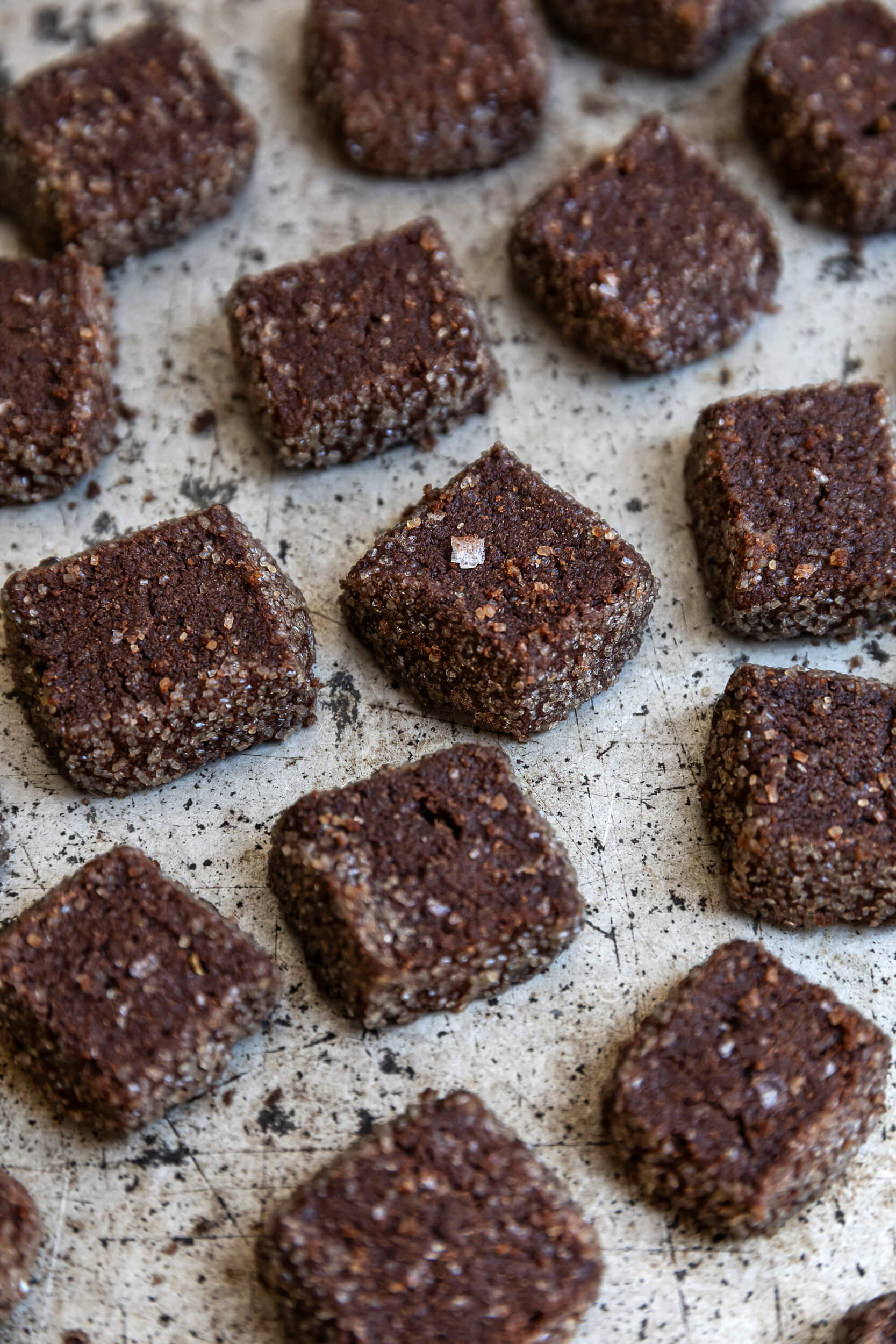 biscotti al cacao amaro sale di maldon e rosmarino le polveri 05