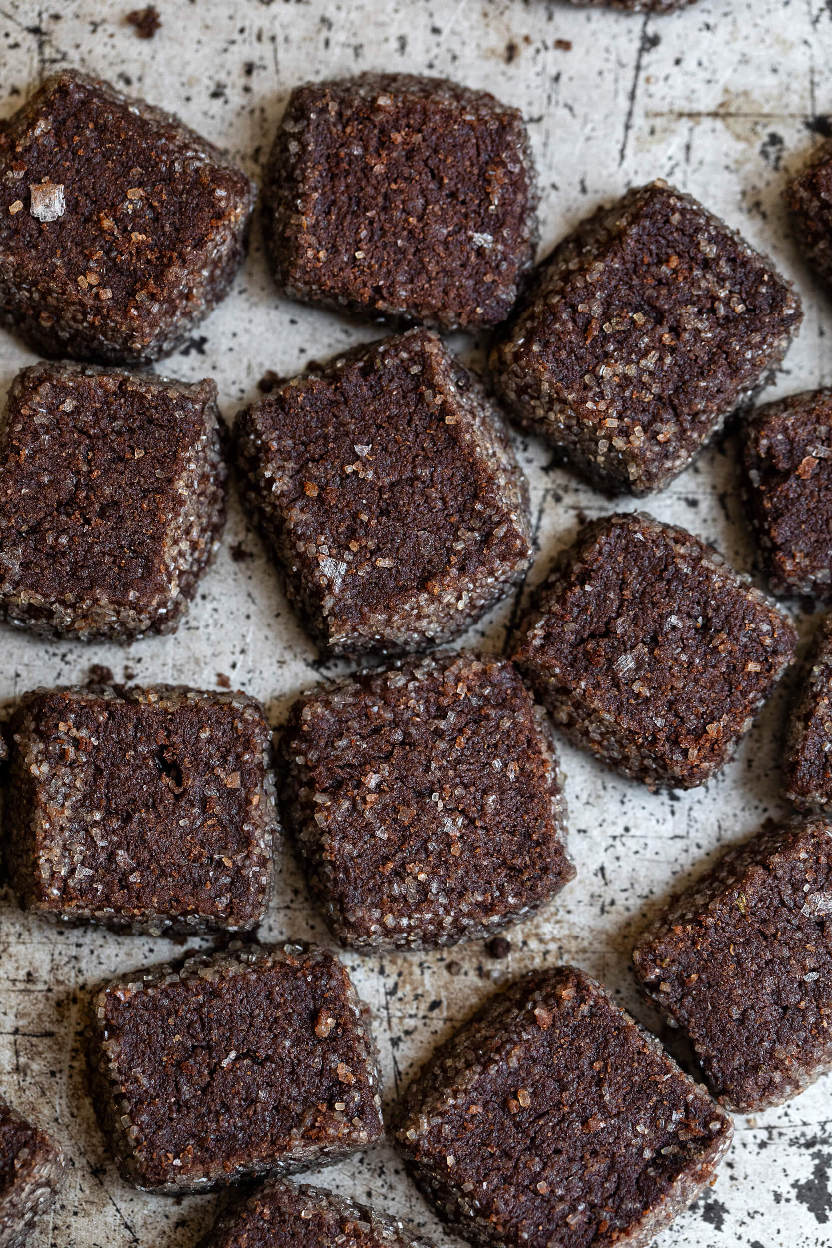 biscotti al cacao amaro sale di maldon e rosmarino le polveri 06