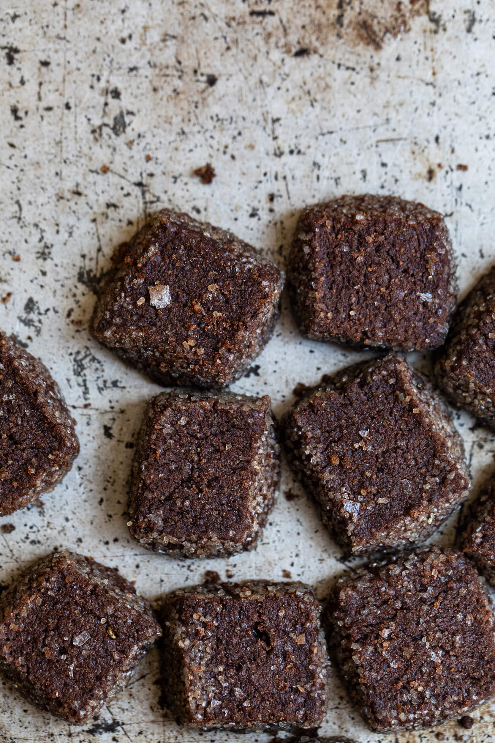 biscotti al cacao amaro sale di maldon e rosmarino le polveri 07