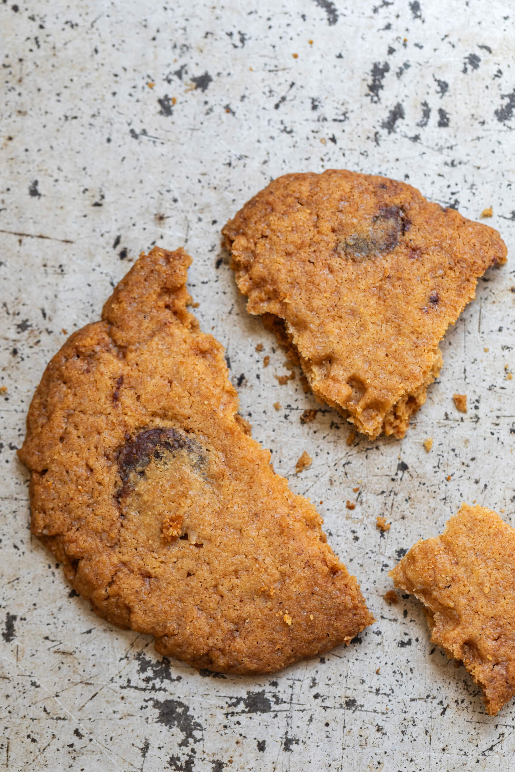 biscotti cookies arancia e cioccolato le polveri 02