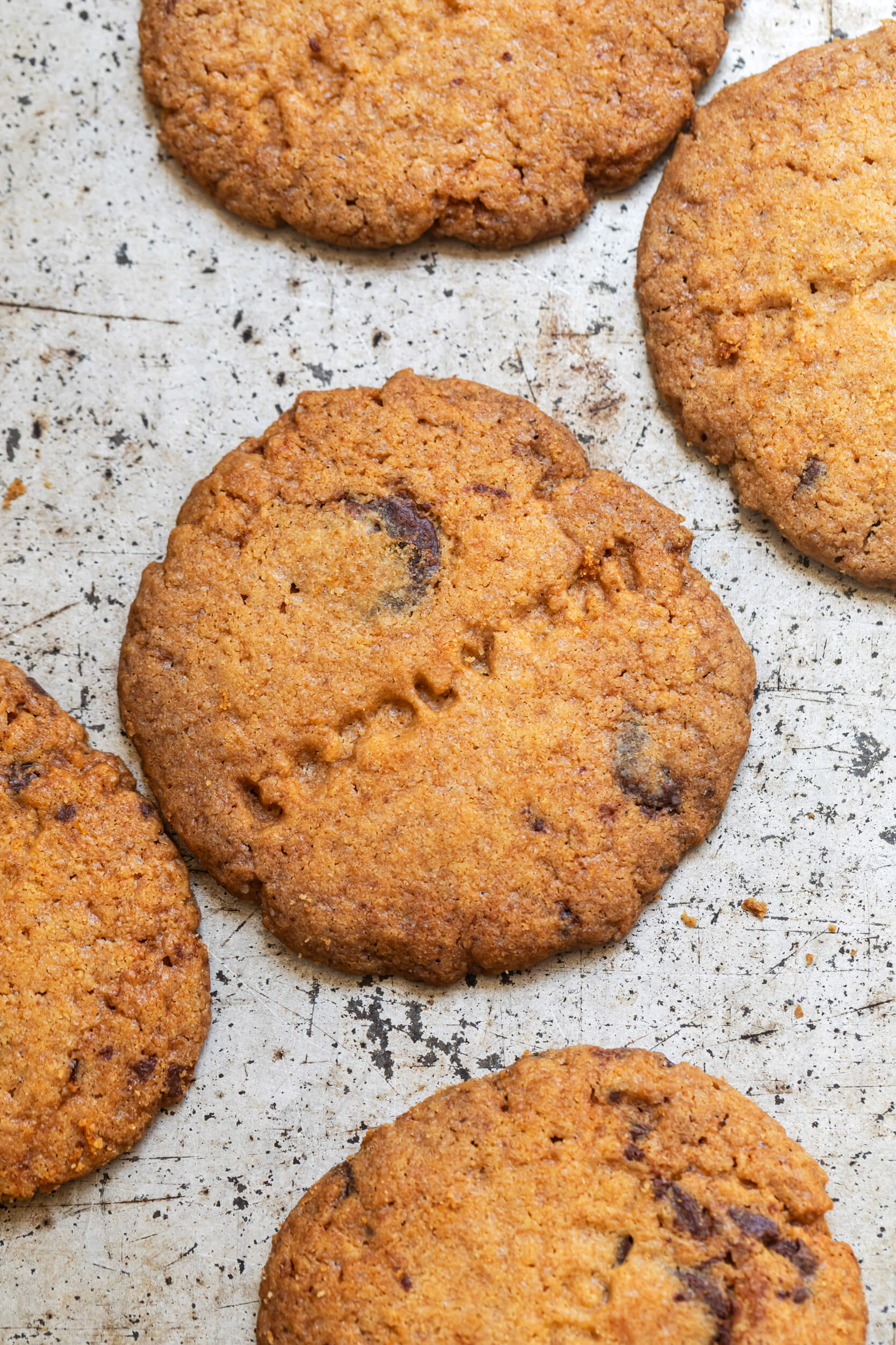 biscotti cookies arancia e cioccolato le polveri 03