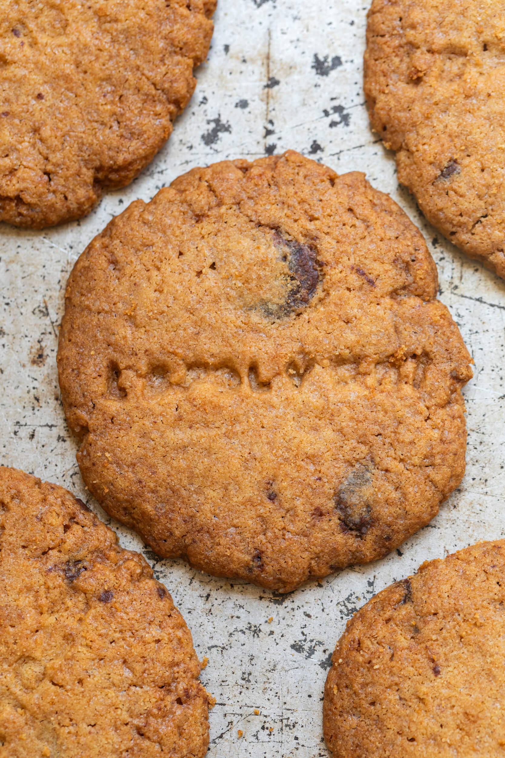 biscotti cookies arancia e cioccolato le polveri 04