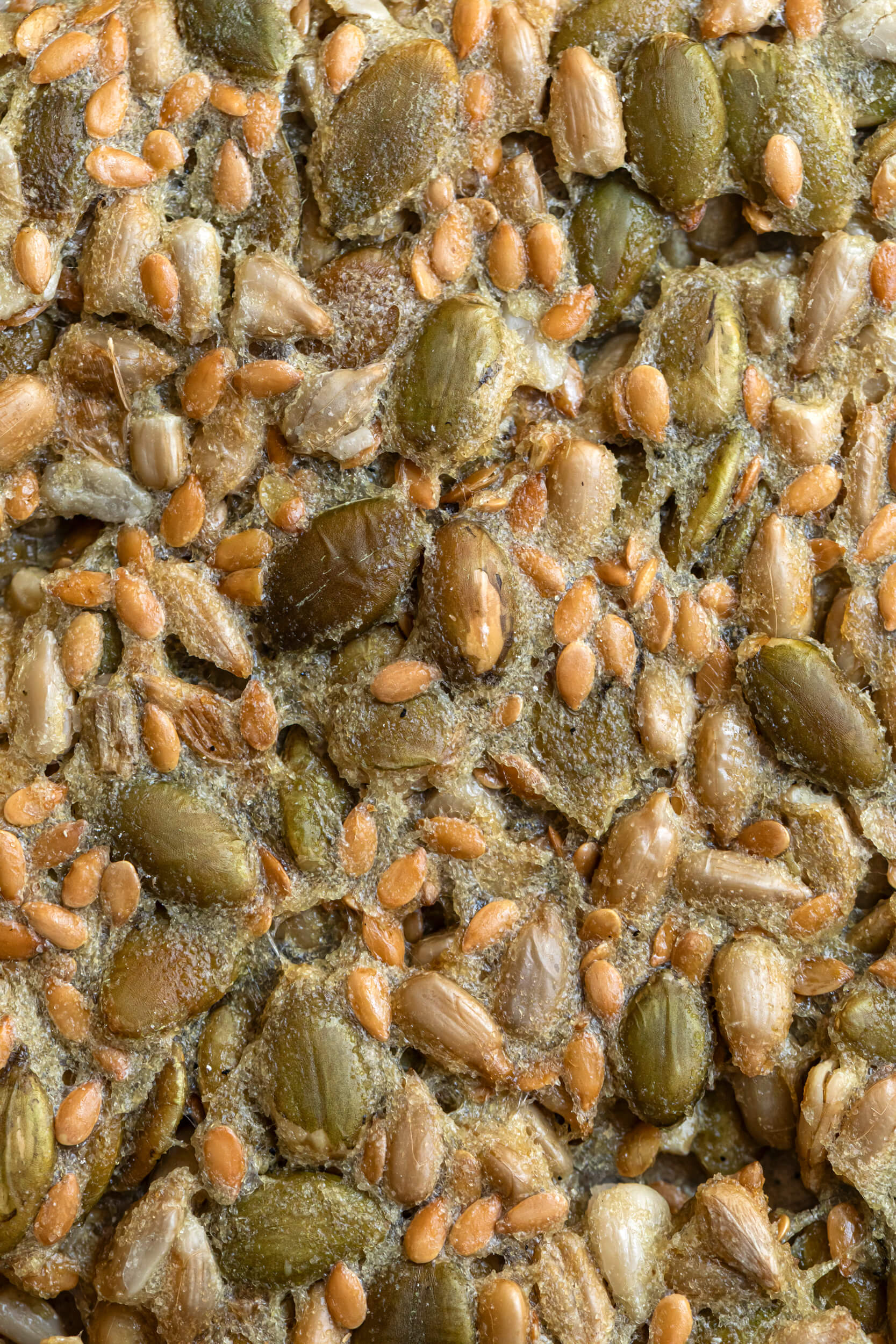 biscotti crackers di semi le polveri 03