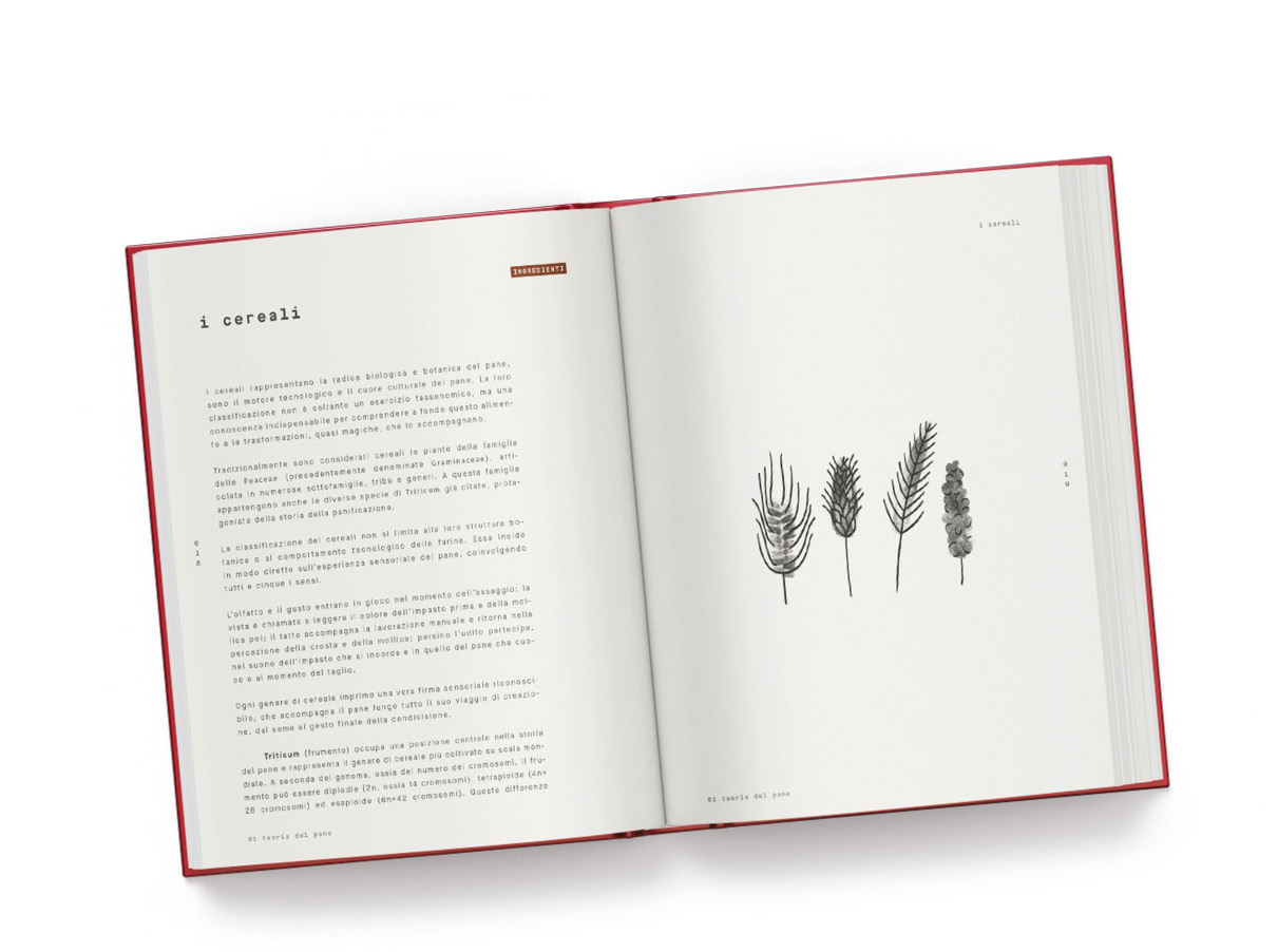 Libro teoria del pane, Aurora Zancanaro